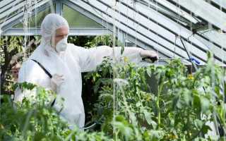 Эффективных средств против вредителей в теплице