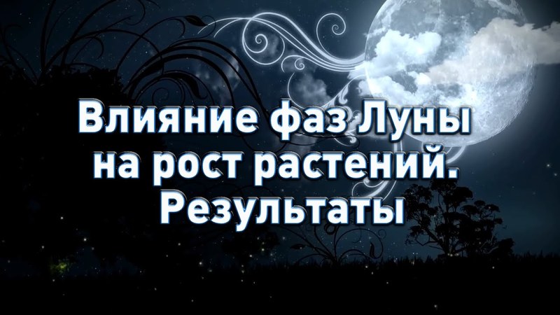 Посевной календарь на сентябрь года садовода и огородника