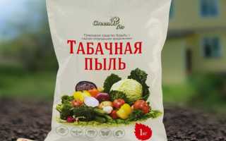 Применение табачной пыли на садовом участке