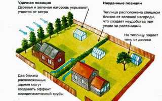 Расстояние от теплицы до соседнего участка