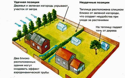Расстояние от забора до теплицы нормы