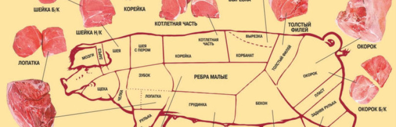 Разделка туши свиньи схема как называются основные части
