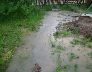 Реально ли благоустроить заболоченный участок