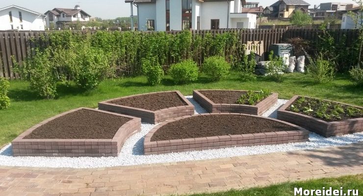 С чего начать делать декоративный огород своими руками