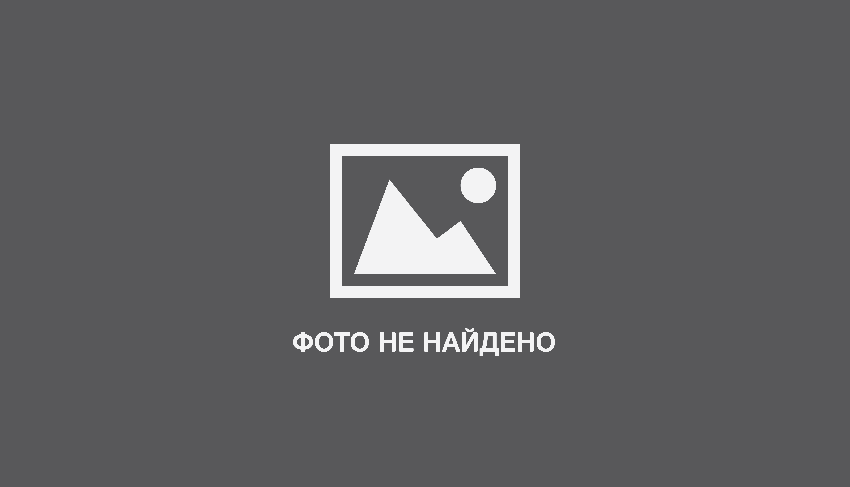 Садовые виды гибриды и сорта абелии