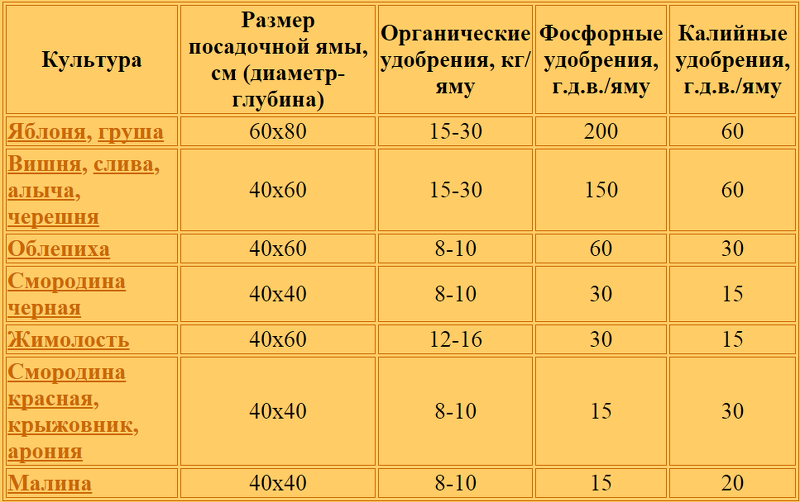 Схема посадки плодовых деревьев