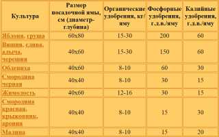 Схема посадки плодовых деревьев
