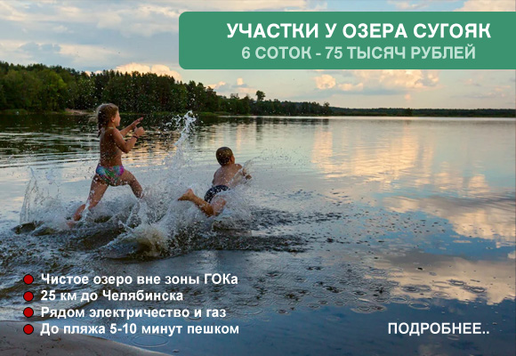 Сколько домашней птицы можно выращивать на садовом участке