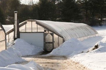 Теплица своими руками зимняя для огурцов