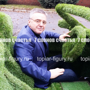 Топиарные фигуры из кустарников и травянистых растений