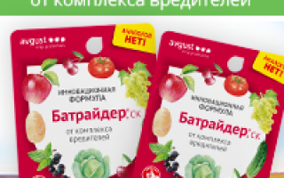 Цветущие и декоративные кустарники для сада