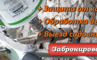 Уход за деревьями и кустарниками в саду