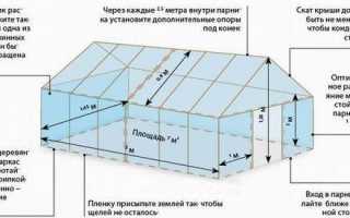 Устройство теплицы для выращивания овощей