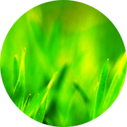 Утепление грунта в теплице
