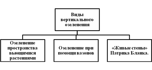 Функционал вертикального озеленения