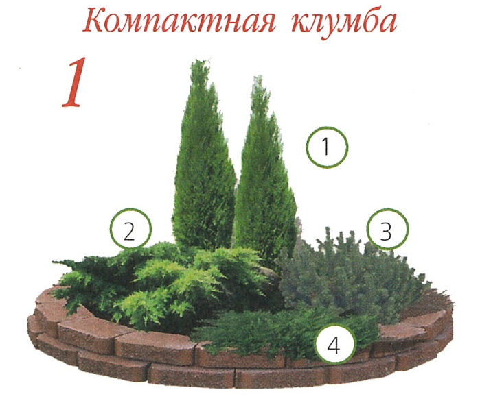 Хвойные клумбы на участке