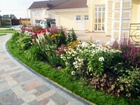 Хвойные в саду миксбордеры