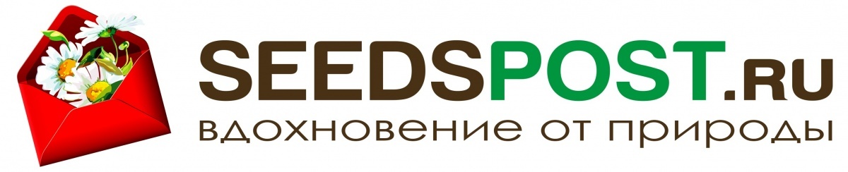 Путь к любимому цветнику