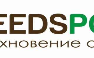 Путь к любимому цветнику