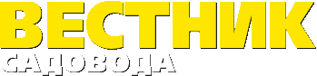 Сорта лилий для северо запада