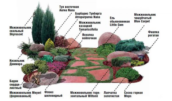 Создание рокария на дачном участке поэтапное руководство