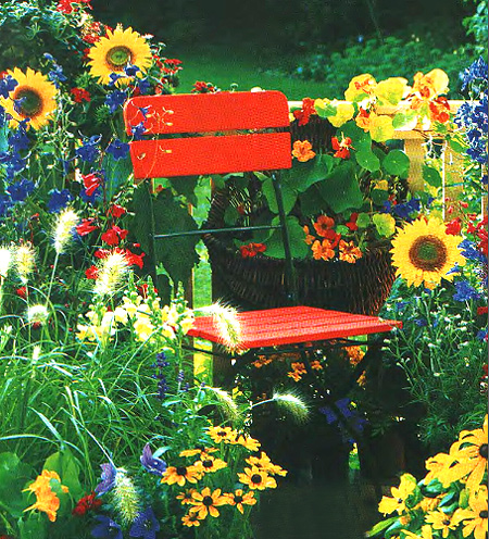 Цветники в деревенском стиле у старого дома
