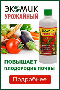 Южанин кипарис особенности ухода выращивания размножения