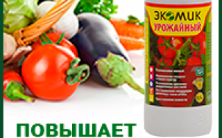 Южанин кипарис особенности ухода выращивания размножения