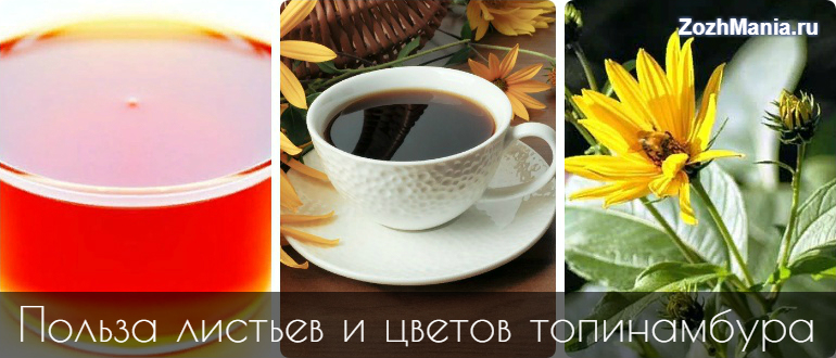 Чай из топинамбура рецепт