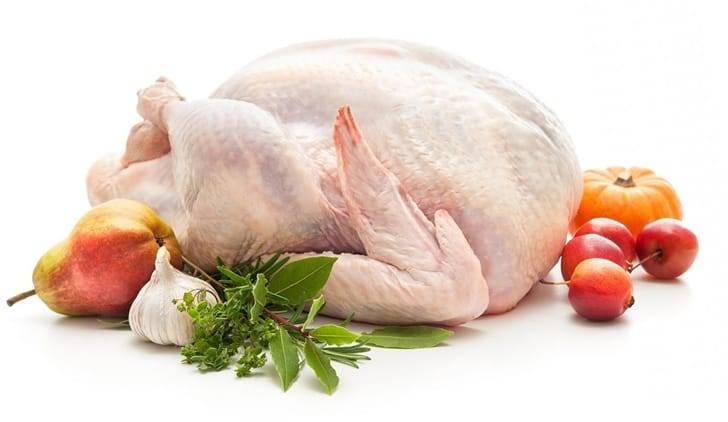 Чем полезно индюшиное мясо
