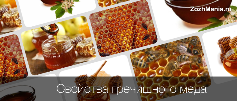 Гречневый мед полезные свойства