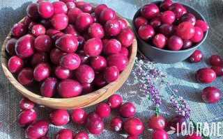 Клюква замороженная полезные свойства