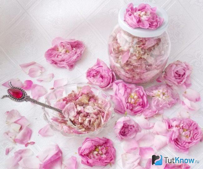 Лепестки розы полезные свойства и противопоказания