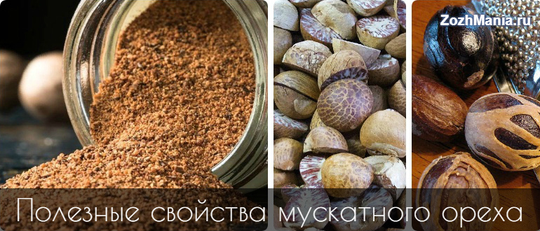 Мускатный орех полезные свойства применение