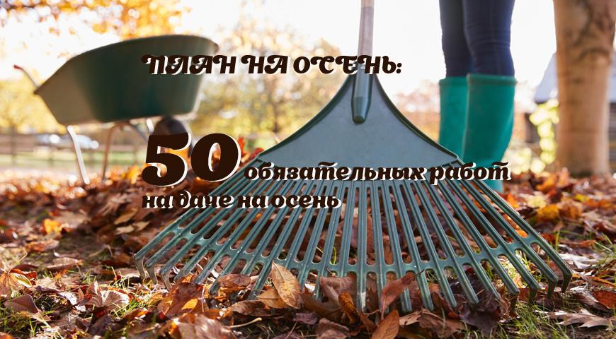 Подготовка к зиме