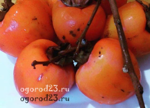 Про хурму полезные свойства
