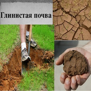 Дренажная система на участке с глинистой почвой
