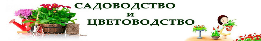 Виды х скатной крыши