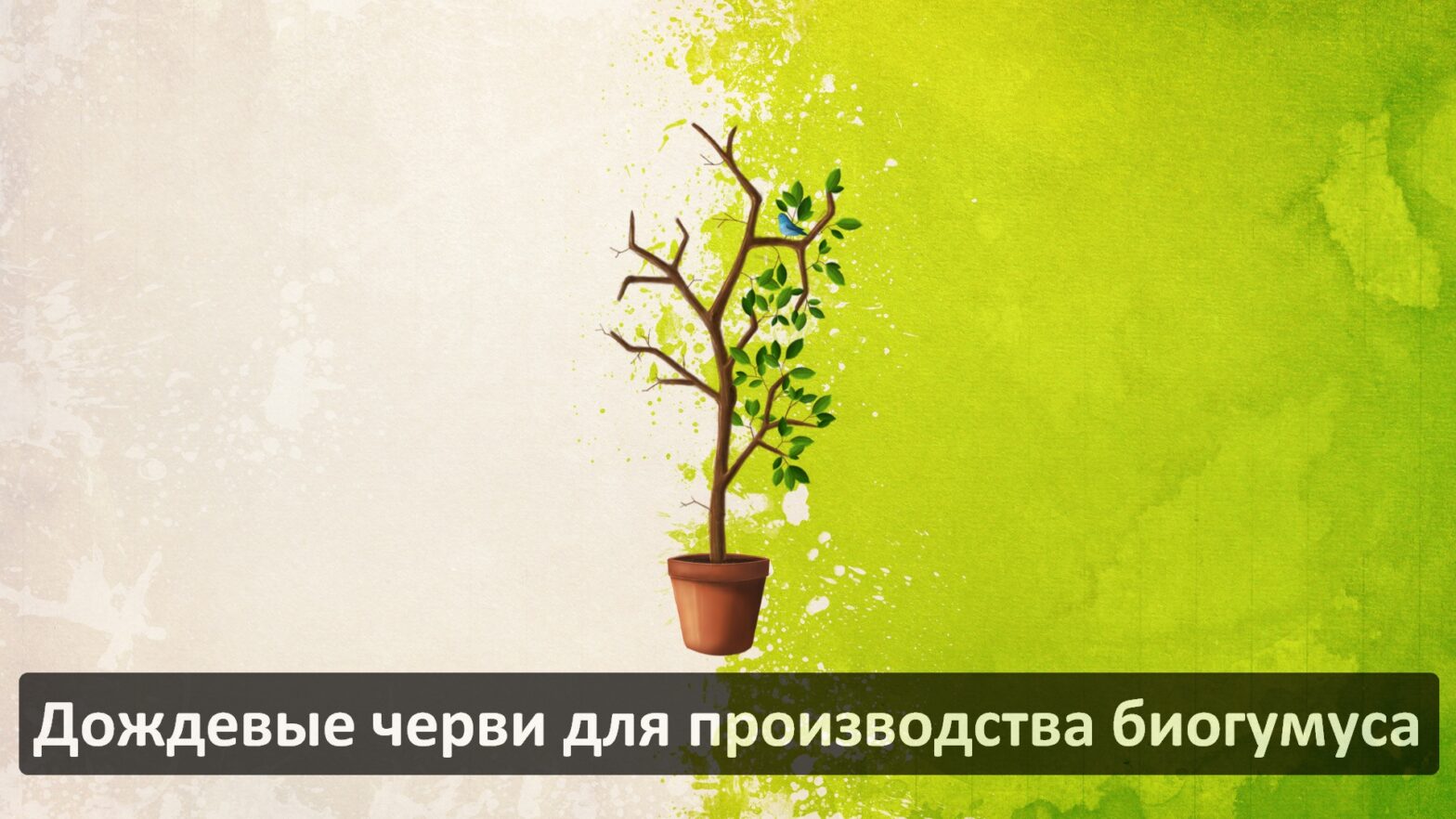 Черви для биогумуса