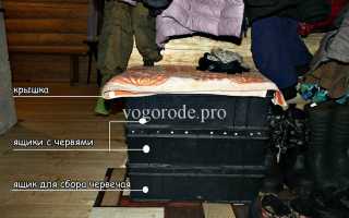 Дождевые черви разведение в домашних условиях