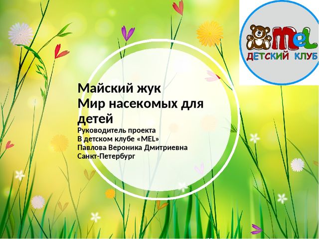 Сообщение о майском жуке