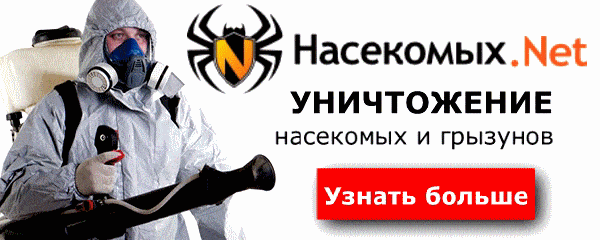 Жук знахарь что лечит
