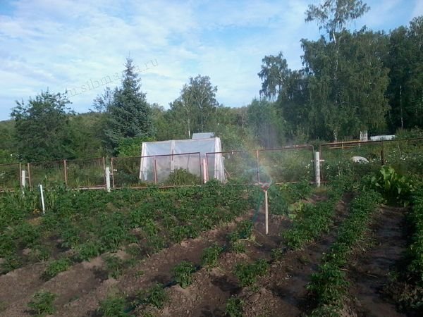 Чем воспользоваться для полива огородных культур