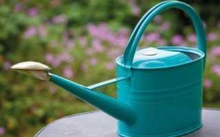 Правила полива лимона в домашних условиях