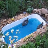 Пруд из старой ванны