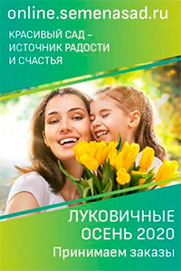Садовый пруд береговые зоны и их обитатели