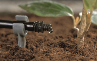 Система микрокапельного полива от компании gardena